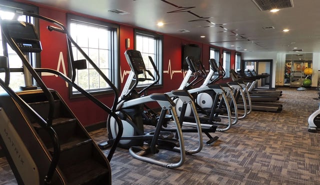Row of cardio machines (treadmills and ellipticals) in a modern apartment community gym.