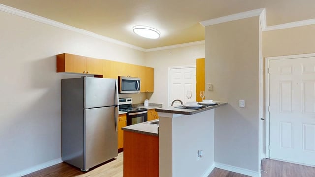 Modern kitchen with stainless steel appliances and ample cabinet space.