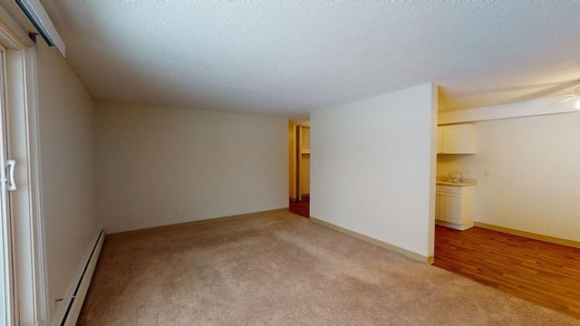 Living room and kitchen of an apartment