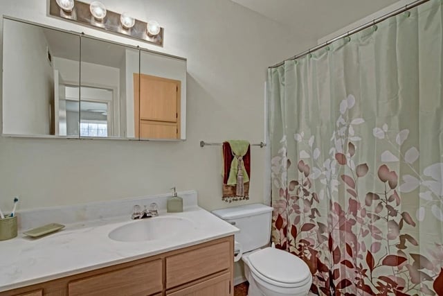 Bathroom with vanity, toilet, and shower with decorative curtain.
