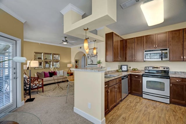 Modern kitchen with dark wood cabinets and stainless steel appliances, open to a living area.