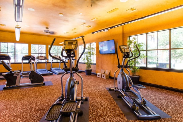 Gym with treadmills and elliptical machines