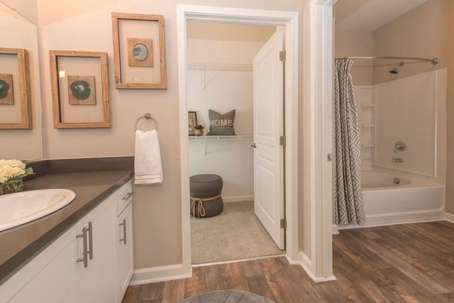 Bathroom with vanity, sink, walk-in closet, and bathtub with shower.