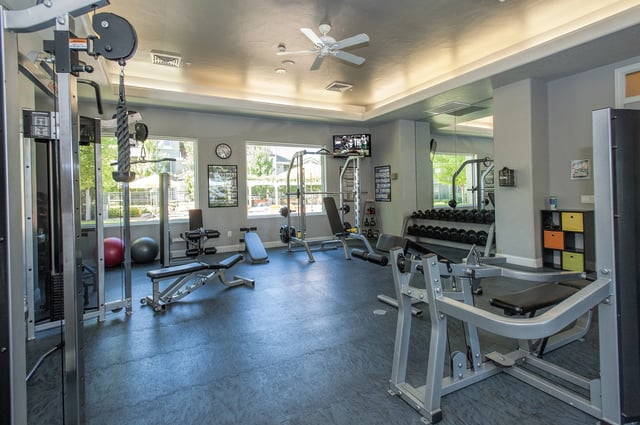 Modern fitness center with weight machines, free weights, and exercise equipment.