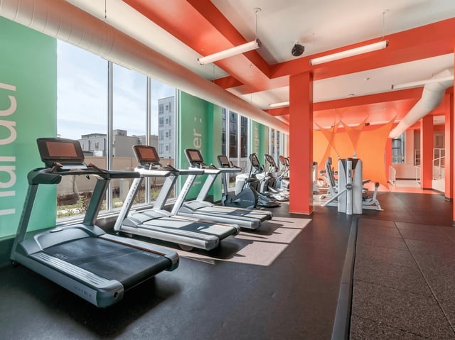 Treadmills and exercise equipment in a modern fitness center with large windows.
