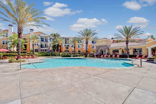Resort-style swimming pool with lounge chairs and palm trees.
