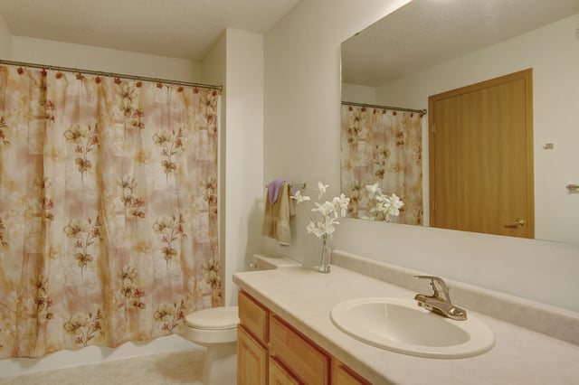 Bathroom with vanity, sink, mirror, toilet, and floral shower curtain.