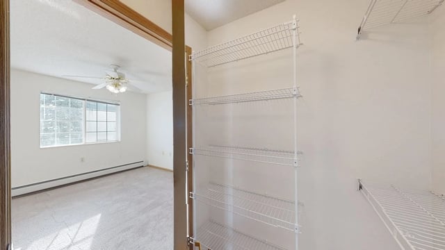 Walk-in closet with shelving in a bedroom.
