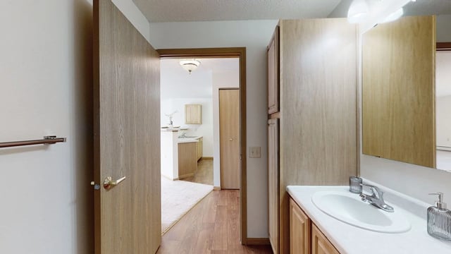 Bathroom vanity with sink and mirror, view into kitchen area.
