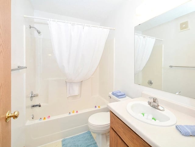 Bathroom with a bathtub, shower, toilet, and vanity with a sink.