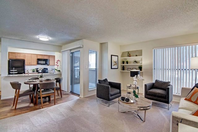 Living room and kitchen area in an apartment.