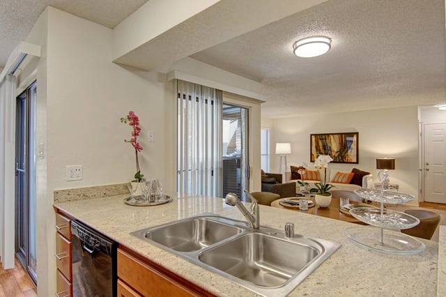 Kitchen sink and countertops with a view of the living room.