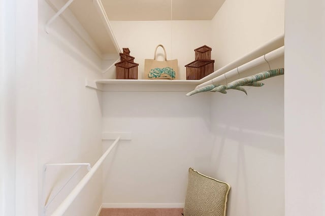 Walk-in closet with shelves, hanging rods, and decorative items.