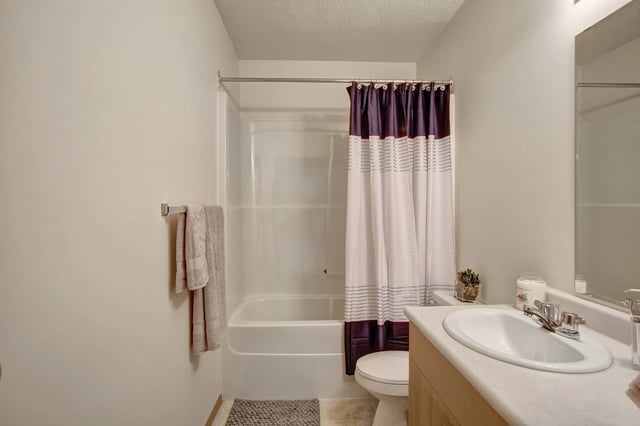 Bathroom with a bathtub, shower, toilet, and vanity with a sink.