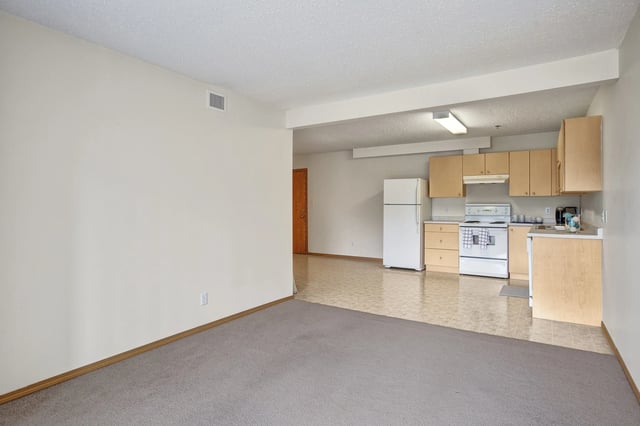 Apartment living room and kitchen area