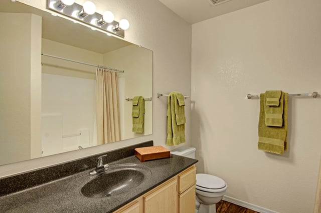 Bathroom vanity with dark countertop, sink, mirror, and lights. Toilet and shower with curtain visible.