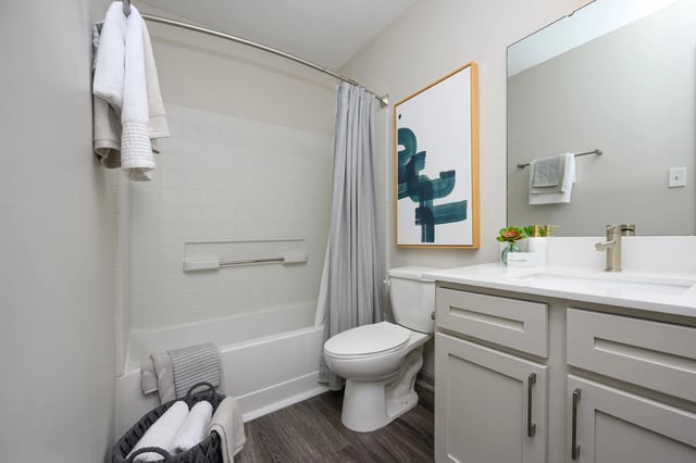 Modern bathroom with a vanity, toilet, and bathtub with shower.