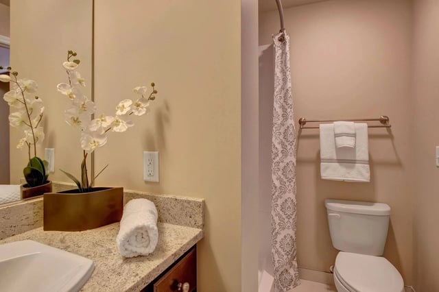 Bathroom vanity with sink and mirror, toilet, and shower with patterned curtain.