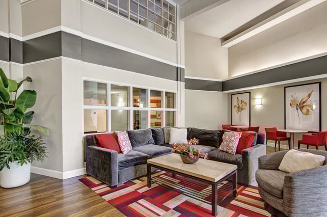 Modern seating area with sectional sofa, armchairs, coffee table, and decorative plants.