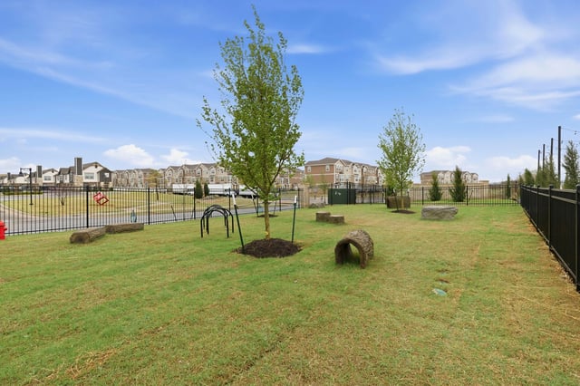 Community dog park with agility equipment and benches.