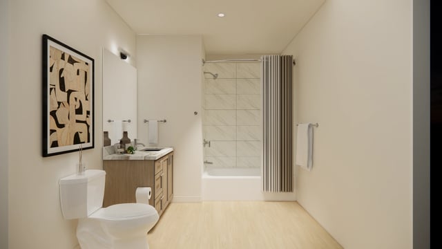 Modern bathroom with vanity, toilet, and shower-tub combo.