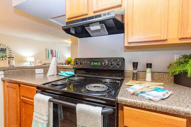 Black electric stove with oven and four burners, situated in a kitchen with wood cabinets and granite countertops. Find pet friendly apartments in East Point GA—schedule a visit or call today for details.