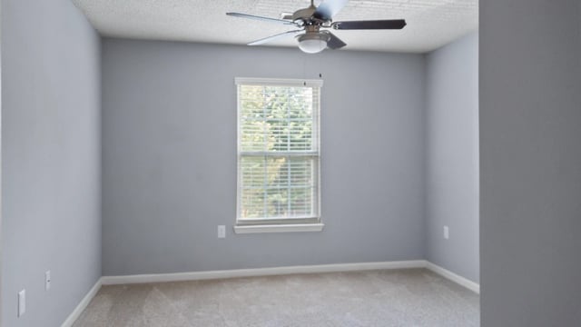 Empty bedroom with light gray walls, a ceiling fan, and a window with blinds.