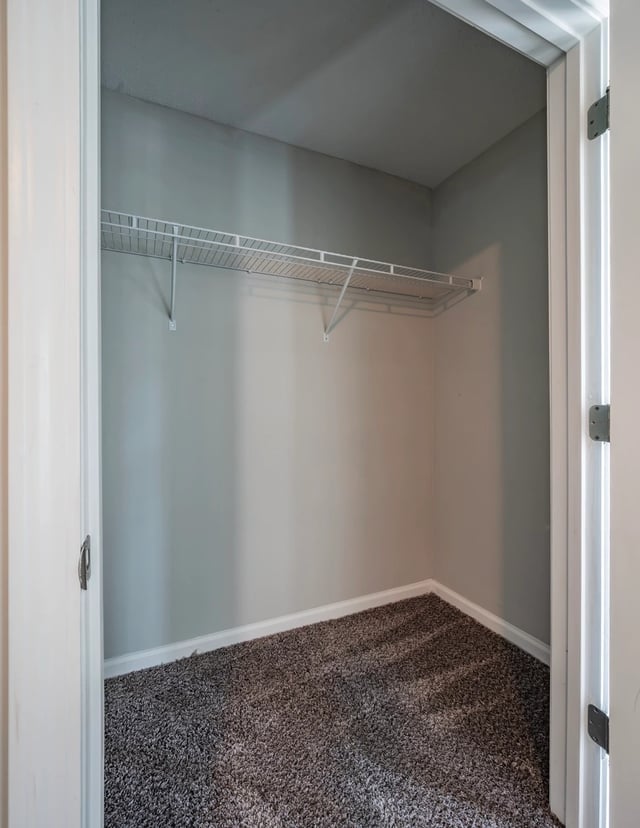 Empty closet with wire shelving and carpet.
