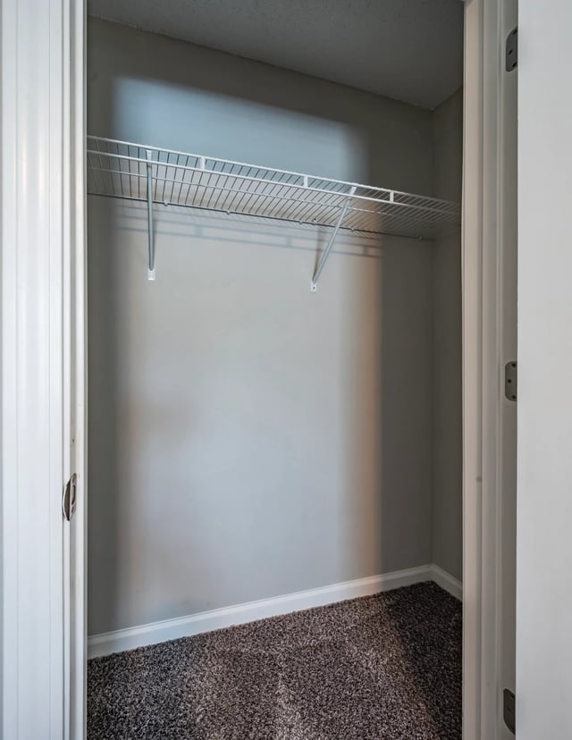 Empty closet with wire shelving