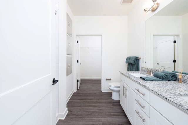 Modern bathroom with double vanity and toilet.