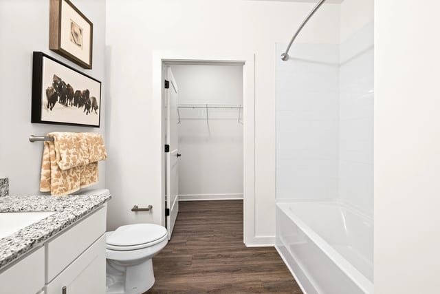 Modern bathroom with a vanity, toilet, and bathtub.