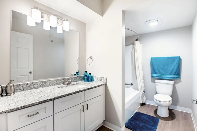 Modern bathroom with a granite countertop vanity, large mirror, and a bathtub with a shower.