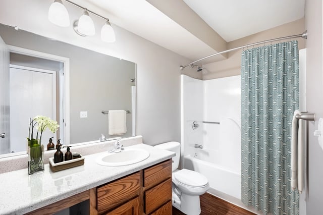 Bathroom with vanity, sink, toilet, and shower with a patterned curtain.