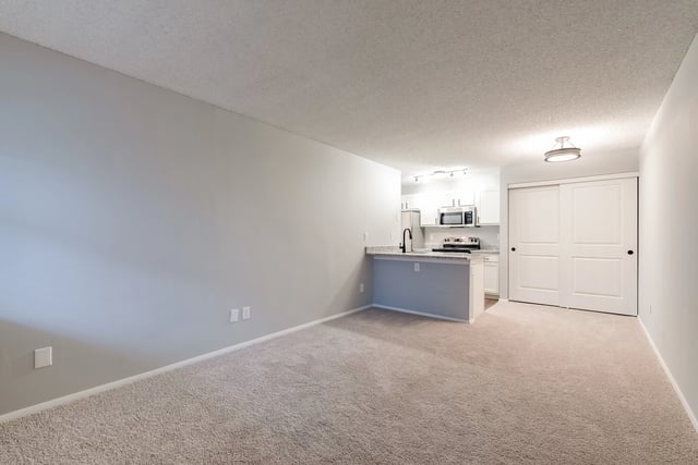 Interior view of a modern apartment living room and kitchen area with carpeted floors and a sliding closet door.
