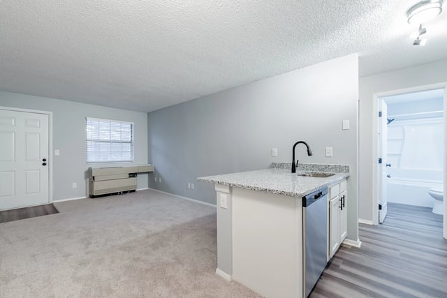 Modern kitchen island with granite countertop and stainless steel dishwasher, adjacent to living room.