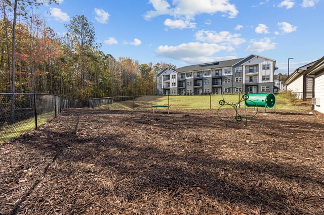 Outdoor dog park with agility equipment and a fenced enclosure.