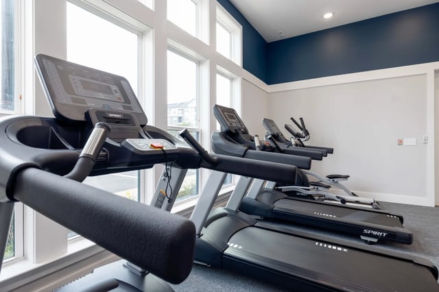 Row of treadmills and elliptical machines in a well-lit fitness center with large windows.