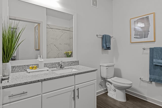Modern bathroom with a double vanity, granite countertops, and a toilet.