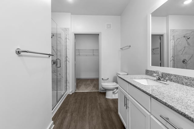 Modern bathroom with walk-in shower, vanity with granite countertop, and closet.