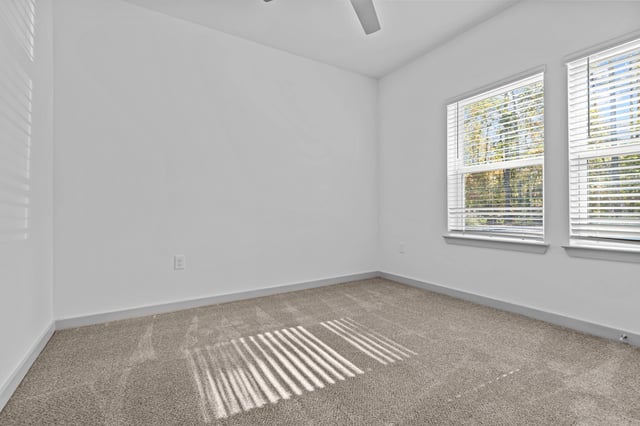 Empty bedroom with carpet and two windows
