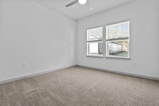 Empty room with plush carpet, neutral walls, ceiling fan, and two windows with blinds.