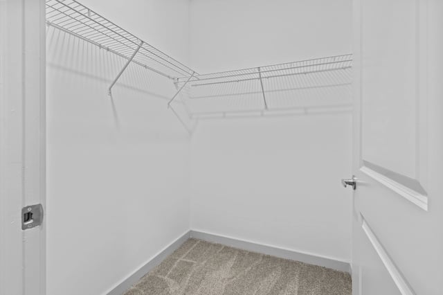 Empty walk-in closet with wire shelving and carpeted floor.
