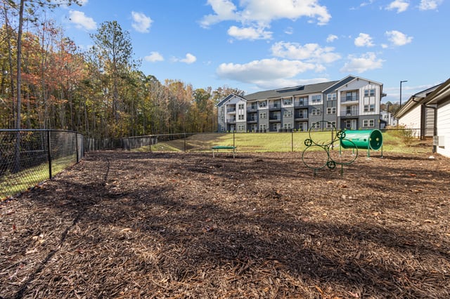 Dog park with agility equipment and surrounding trees.
