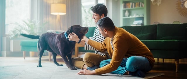 Two men petting their dog in a sunlit living room.