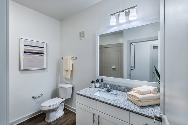 Modern bathroom with vanity, toilet, and shower.
